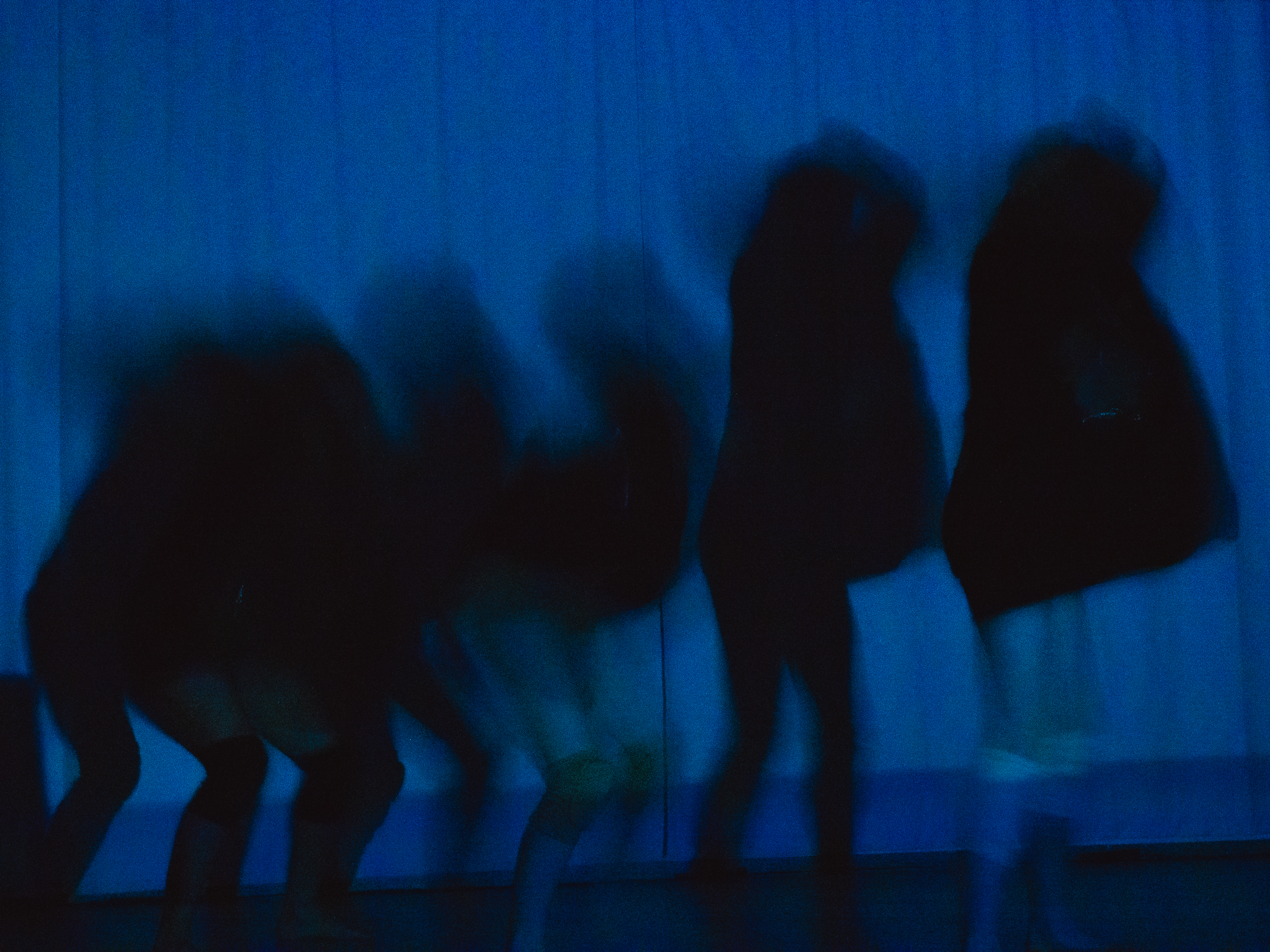 Photo of dancers We Have to Do This Before We Do Anything Else.